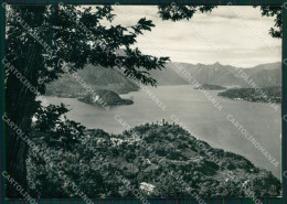 Delcampe - Lecco Esino Lario Lago Di Foto FG Cartolina KV8156 - Lecco