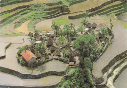 Delcampe - PHILIPPINES BANAUE RIZIERES EN TERRASSES - Philippines