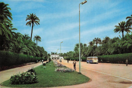 Delcampe - ESPAGNE ELCHE AVENIDA DE LA ESTACION - Sonstige & Ohne Zuordnung