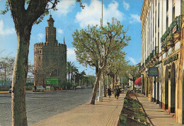 Delcampe - ESPAGNE SEVILLE LA TORRE DEL ORO - Sonstige & Ohne Zuordnung