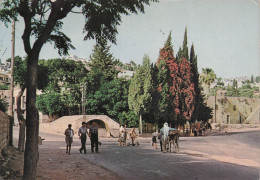 Delcampe - ISRAEL NAZARETH LE PUITS DE MARIE - Israel