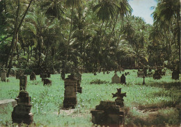 Delcampe - GUYANE FRANCAISE ILES DU SALUT CIMETIERE DES GARDIENS A L ILE SAINT JO - Sonstige & Ohne Zuordnung