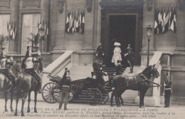 Delcampe - France Paris Île De Réception Reine Wilhelmine Royal Families Unposted #SAS308 - Königshäuser