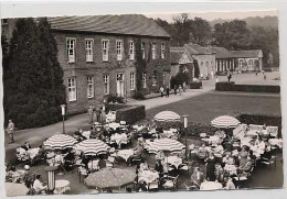 Delcampe - Bad Driburg Bad Driburg - Bad Driburg
