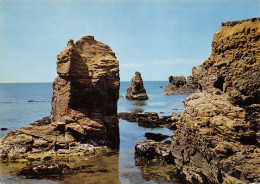 Delcampe - 56-PENESTIN SUR MER-N°4142-A/0255 - Pénestin
