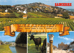 Delcampe - 18-SANCERRE-N°4142-A/0173 - Sancerre