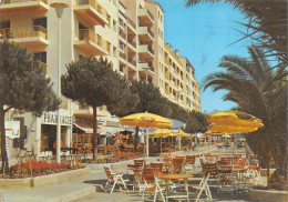 Delcampe - 83-HYERES LES PALMIERS-N°4143-A/0081 - Hyeres