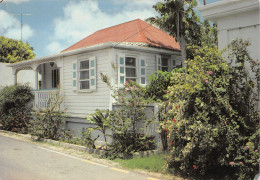 Delcampe - ANT-SAINT MARTIN-N°4143-A/0035 - Saint-Martin