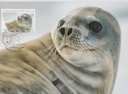 Delcampe - Australian Antarctic Territory 2018 Crabeater Seal,Crabeater Seal,maximum Card - Maximumkarten