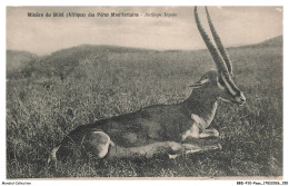 Delcampe - BBDP10-1089-MALAWI - Mission Du Shiré - Afrique - Des Pères Montfortains - Antilope Inyala - Malawi