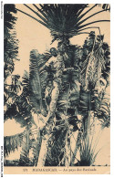 Delcampe - BBTP12-1101-MADAGASCAR - Au Pays Des Ravinala - Madagaskar