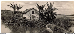 Delcampe - BBTP13-1204-MADAGASCAR - TANANARIVE - Une Femme Tenant Un Enfant Devant Une Maison Au Bord De L'eau - Madagaskar