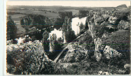 Delcampe - 33265 - CHAUVIGNY - CPSM - LA VALLEE DE LA VIENNE VUE DU HAUT DES ROCHES DAVID AU MOULIN MILON - Chauvigny