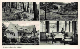 Delcampe - Gehrden Brakel Westfalen Pension Altes Forsthaus Waldpartie Landschaft Felder - Brakel