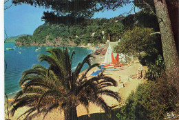 Delcampe - 83 SAINTE MAXIME PLAGE DE LA NARTELLE - Sainte-Maxime