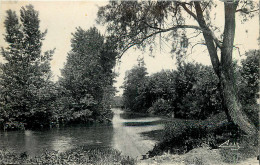 Delcampe - 43486 - PONT DE VAUX - CPSM - BORDS DE LA REYSSOUZE - Pont-de-Vaux