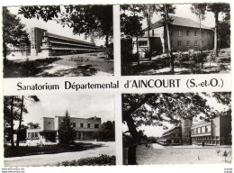 Delcampe - AINCOURT  Sanatorium Départemental - Aincourt