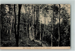 Delcampe - Bad Polzin Polczyn-Zdroj 1918 - Wolfsschlucht Bei Luisenbad AK - 10150883 - Polen