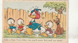Delcampe - DISNEY  N0 - Other & Unclassified