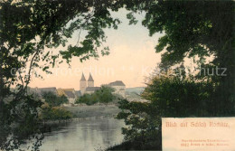 Delcampe - Rochlitz Sachsen Flusspartie Mit Schlo - Rochlitz