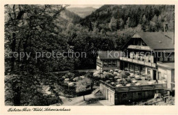Delcampe - Tabarz Gaststaette Schweizerhaus Terrasse - Tabarz