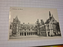 Delcampe - Château De Blois - Castillos