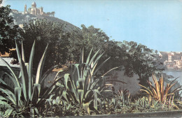 Delcampe - ET-ALGERIE ALGER-N°T2918-B/0275 - Algiers