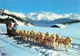 Delcampe - 74 LES GETS ATTELAGE DE CHIENS SAMOYEDES - Les Gets