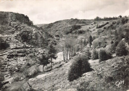 Delcampe - 56 LE FAOUET VALLEE DE L ELLE A BARREGANT - Le Faouet