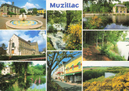 Delcampe - 56 MUZILLAC LA PLACE DE LA MAIRIE - Muzillac