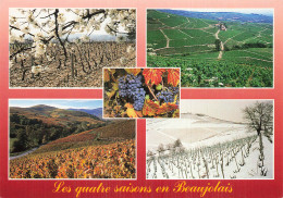 Delcampe - 69 JULIENAS VIGNOBLES DU BEAUJOLAIS - Julienas