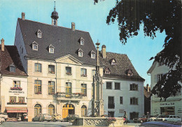 Delcampe - 68 ALTKIRCH LA FONTAINE LA MAIRIE ET LE MUSEE - Altkirch