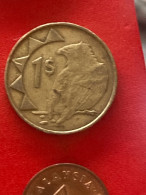Delcampe - Münze Münzen Umlaufmünze Namibia 1 Dollar 1993 - Namibia