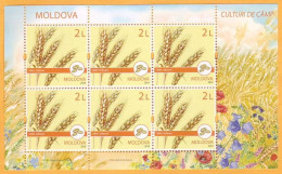 Delcampe - 2019 Moldova Moldavie Cereal Crops. Field Crops.  Sheet Mint - Moldawien (Moldau)