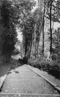 Delcampe - Grammont - L'Escalier - Geraardsbergen
