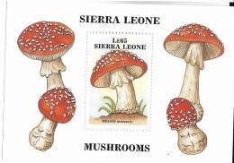 Delcampe - Sierra Leone Mushroom Sheet Mnh **  Euros 1988 10 Euros - Sierra Leone (1961-...)