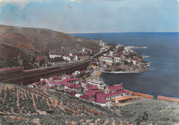 Delcampe - 66-CERBERE-N°3376-C/0137 - Cerbere