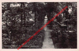 Delcampe - Doetinchem - De Kruisberg - Gelderland Nederland - Doetinchem