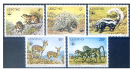 Delcampe - Lesotho. Fauna Selvatica 1977. WWF. - Lesotho (1966-...)