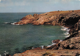 Delcampe - 56 QUIBERON PETITE CRIQUE SUR LA COTE SAUVAGE - Quiberon