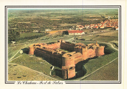 Delcampe - 66 SALSES LE CHATEAU - Salses
