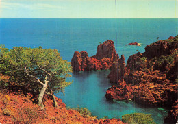 Delcampe - 83 SAINT RAPHAEL - Saint-Raphaël