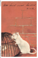 Delcampe - ASHP11-0718-ANIMAUX - UNE SOURIS BLANCHE PRES D'UNE CAGE - Tiger