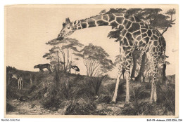 Delcampe - BAFP9-0873-ANIMAUX - GIRAFES - Galeries Du Duc D'orleans - Image D'un Girafe - Giraffen
