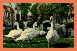 Delcampe - A442 / 059 BRUGGE Bruges Pont Du Béguinage ( Cygne ) - Non Classés