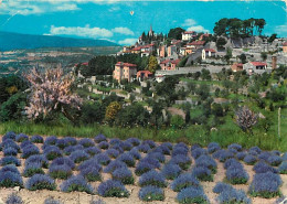 Delcampe - Carte Postale - Fleurs - Champs De Lavande - Provence - CPM - Voir Scans Recto-Verso - Poscard - Carta Postal -  Postkar - Blumen