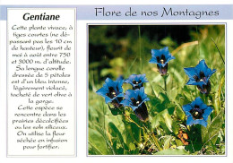 Delcampe - Carte Postale - Fleurs - CPM - Voir Scans Recto-Verso - Poscard - Carta Postal -  Postkarte - Blumen
