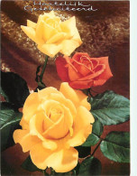 Delcampe - Carte Postale - Fleurs - CPM - Voir Scans Recto-Verso - Poscard - Carta Postal -  Postkarte - Blumen