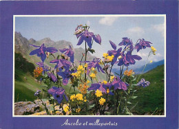 Delcampe - Carte Postale - Fleurs - CPM - Voir Scans Recto-Verso - Poscard - Carta Postal -  Postkarte - Blumen