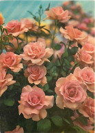 Delcampe - Carte Postale - Fleurs - CPM - Voir Scans Recto-Verso - Poscard - Carta Postal -  Postkarte - Blumen